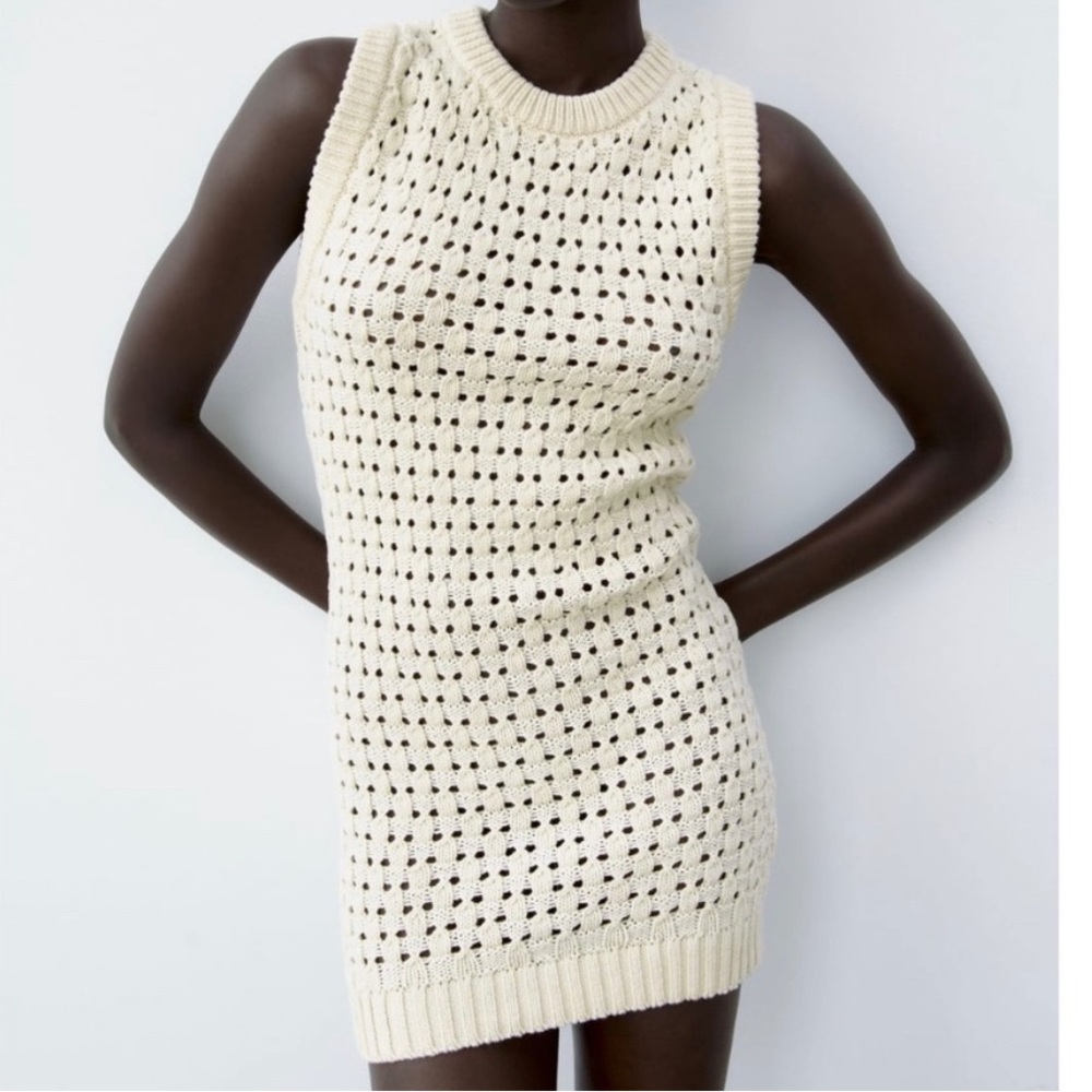 Zara Openwork Knit Dress